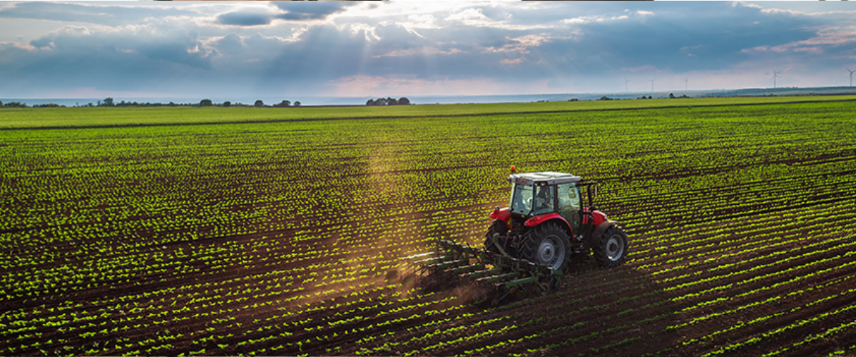 Farm Equipment in a Field