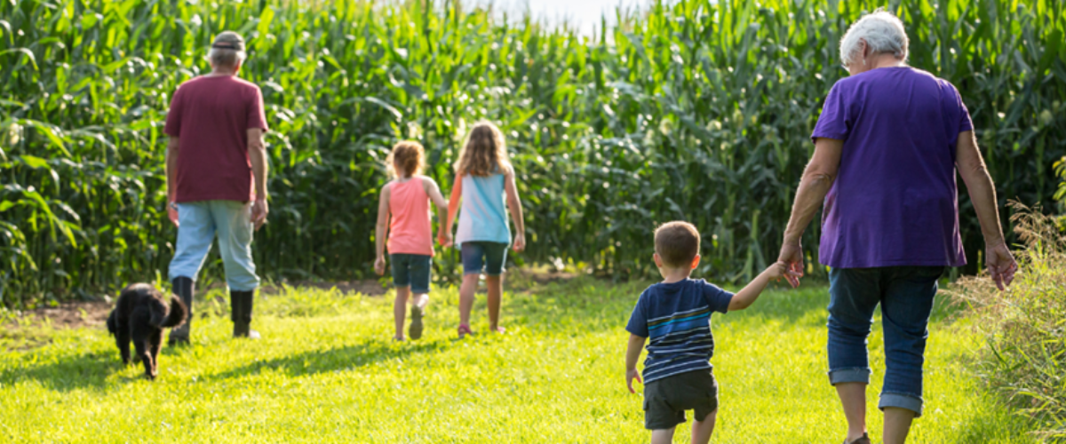 Grandparents, Grandchildren, and Dog Walking Towards Crops