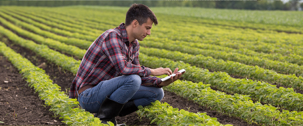 Beginning Farmer Loan Program