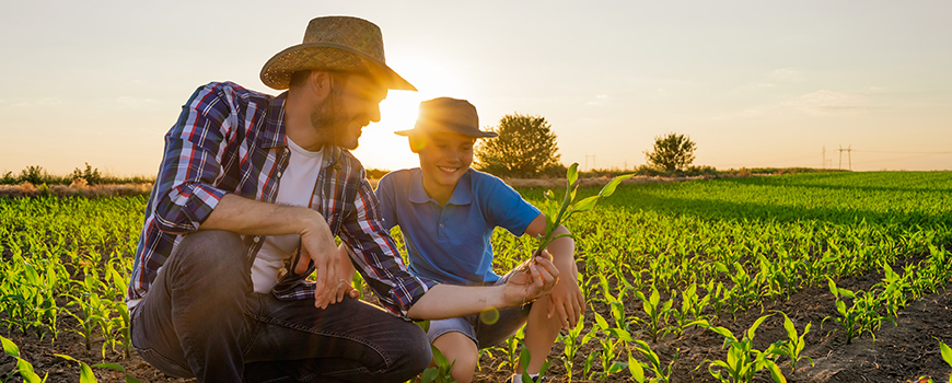 A Father and Son in a Corn Field