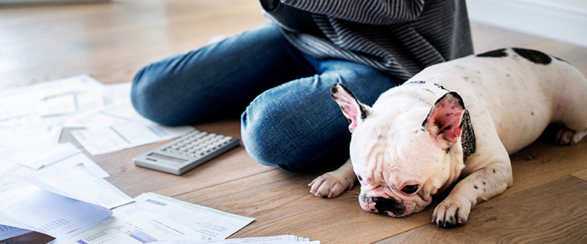 Image of Bills on the Floor with Dog Sitting Next to a Woman.