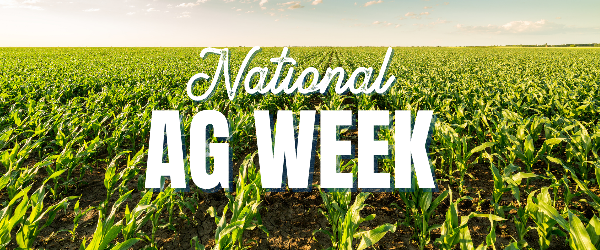 Image Of A Corn Field Celebrating National Ag Week