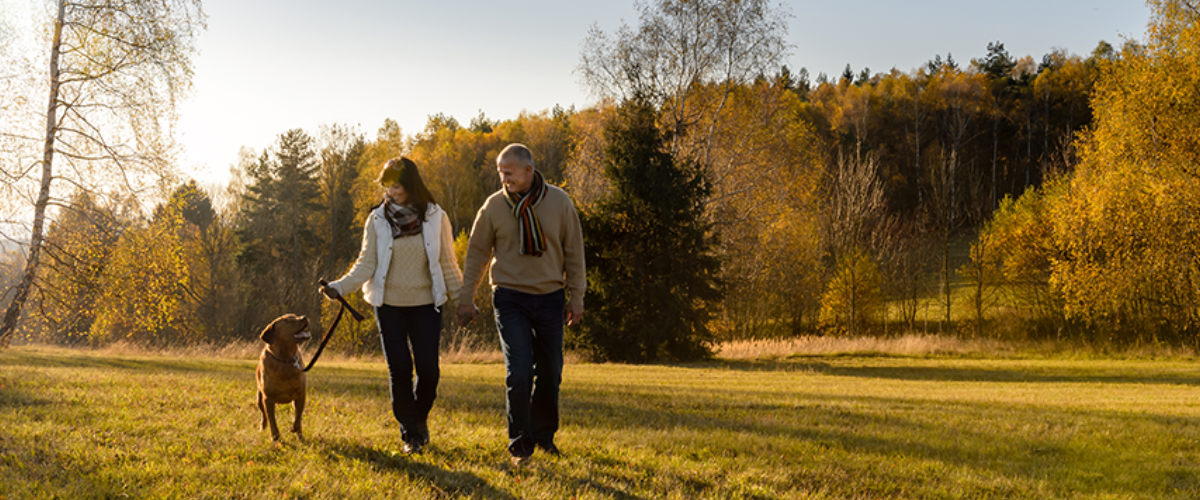 Retired Couple Walking Their Dog